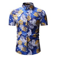 uploads/erp/collection/images/Men Clothing/XIANGNIAN/XU0460541/img_b/img_b_XU0460541_2_4rqhWKuT8R7XdBnvNKTV174S5x8ZgzGF